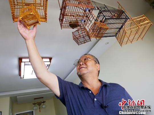 兰州花甲老人研竹筑鸟笼20余载革新技法冀传承冷门技能